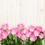 Odhaľte význam kvetov: Čo prezradí kytica ruží?