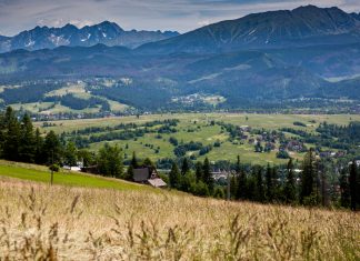 Cenovo atraktívne pozemky. Poznáte projekt Royal Valley?