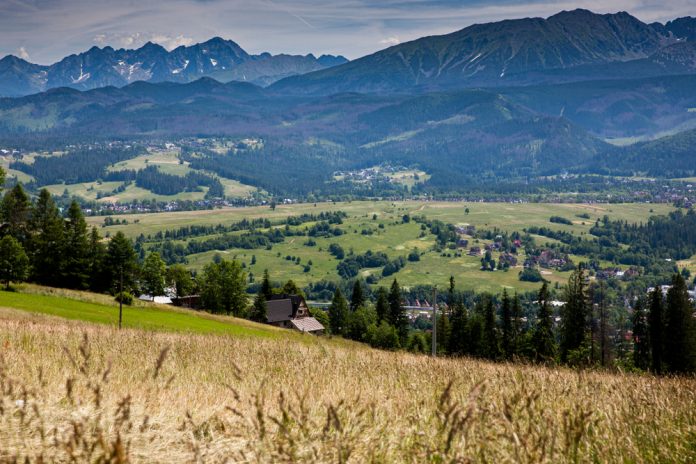 Cenovo atraktívne pozemky. Poznáte projekt Royal Valley?