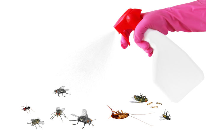 Je na mravce účinnejšia nástraha alebo sprej?