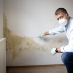 Ako vlhkosť v stenách ničí dom zvnútra: Skryté riziká a moderné riešenia